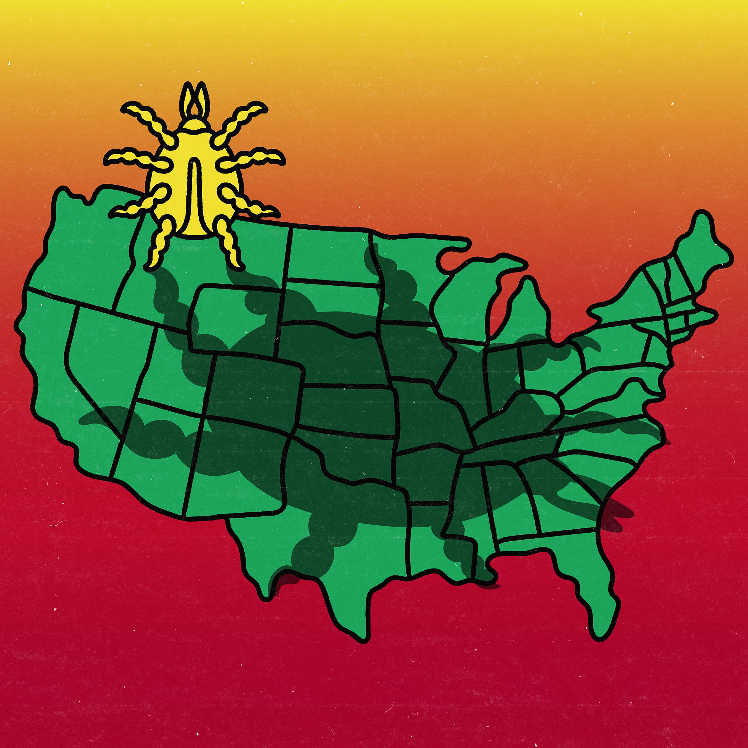 The Tick Situation Is Getting Worse. Here’s How to Protect Yourself – New York Times Well